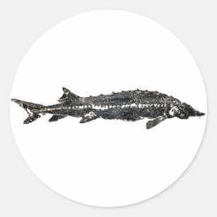 Adesivo Redondo Sturgeon Gyotaku-40-Item Branco
