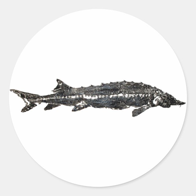 Adesivo Redondo Sturgeon Gyotaku-40-Item Branco (Frente)