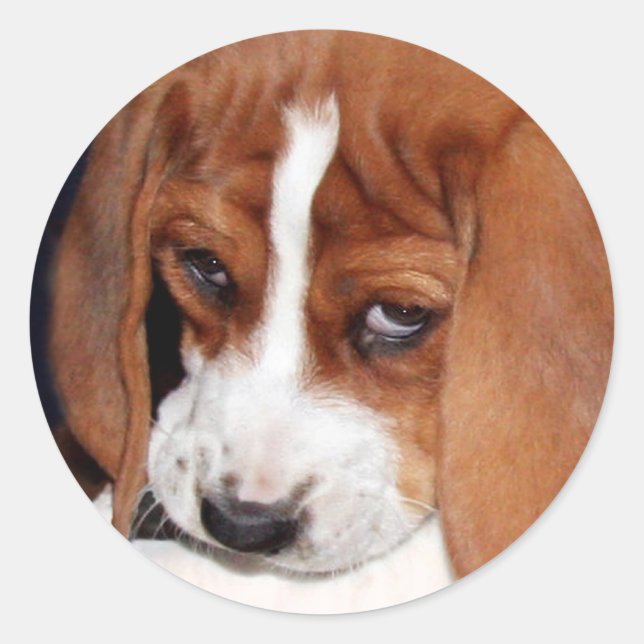 Adesivo Redondo Sua imagem aqui (Frente)