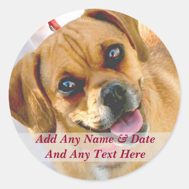 Adesivo Redondo Sua Própria Fotografia E Autocolantes De Texto Per (Frente)