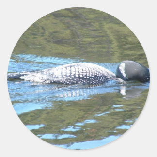 Adesivo Redondo Sub-Superfície Sleuth