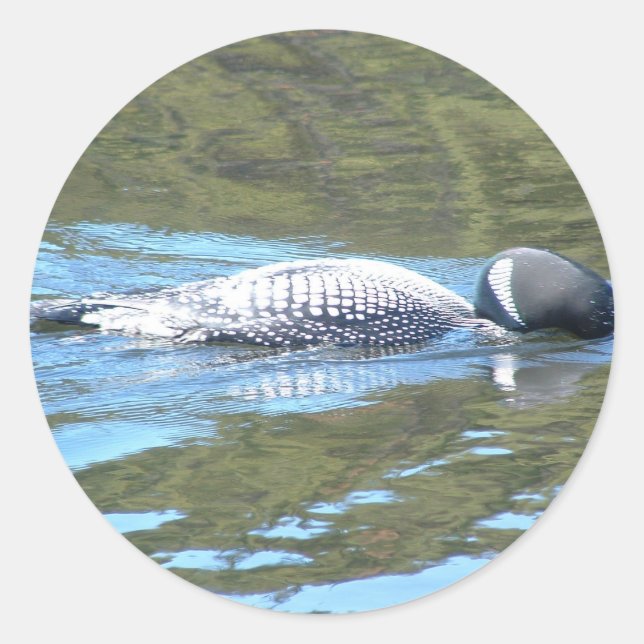 Adesivo Redondo Sub-Superfície Sleuth (Frente)