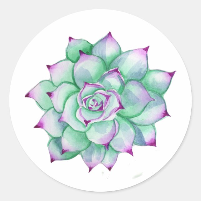 Adesivo Redondo Succulent Stickers (Frente)