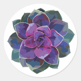 Adesivo Redondo Suculente Sticker