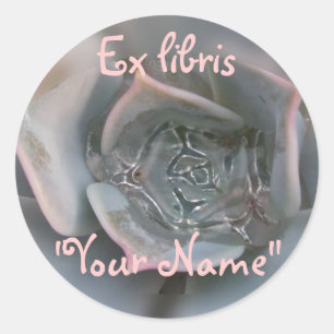 Adesivo Redondo Suculento Colorido Desejando Itens de Felicidade