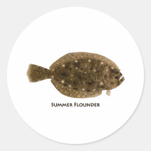Adesivo Redondo Summer Flounder