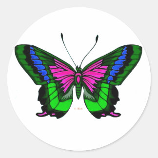 Adesivo Redondo Sumos Brilhantes Cores 5