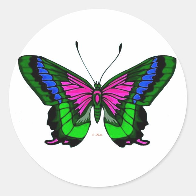 Adesivo Redondo Sumos Brilhantes Cores 5 (Frente)