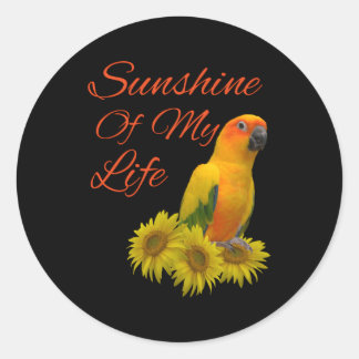Adesivo Redondo Sun Conure Parrot Sunshine