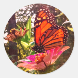 Adesivo Redondo Sun Shining Thru Wings de Monarca