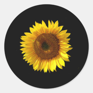 Adesivo Redondo Sunflower Stickers