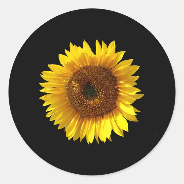 Adesivo Redondo Sunflower Stickers (Frente)