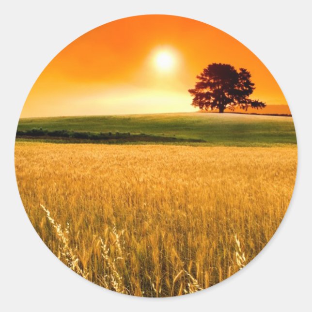 Adesivo Redondo Sunset Vermelho Sanguíneo (Frente)