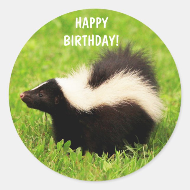 Adesivo Redondo Super Cute Skunk Birthday (Frente)