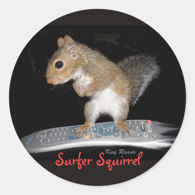 Adesivo Redondo Surfer Squirrel (Frente)