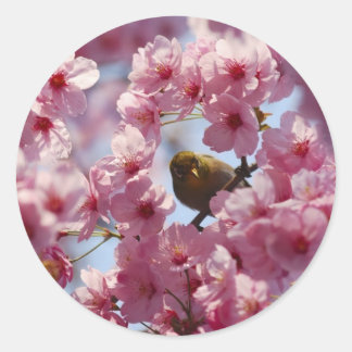 Adesivo Redondo surpresa!