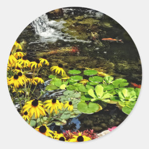 Adesivo Redondo Susanos De Olhos Negros Por Koi Pond