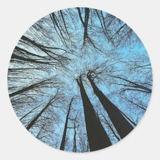 Adesivo Redondo Sussurros da Floresta do Sussurro