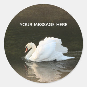 Adesivo Redondo Swan Classic Round Sticker