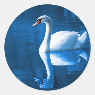 Adesivo Redondo Swan Sticker