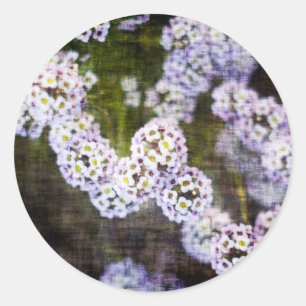 Adesivo Redondo Sweet Alyssum em Grunge