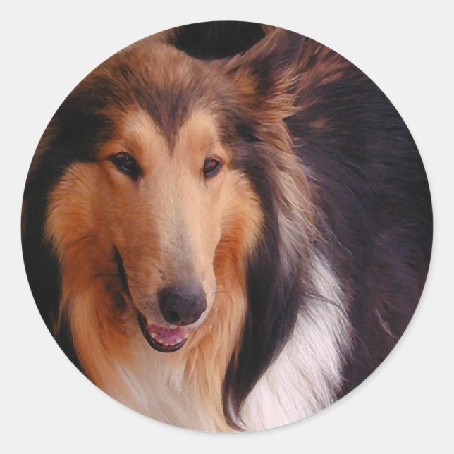 Adesivo Redondo Sweet Collie (Frente)