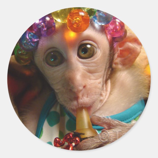 Adesivo Redondo Sweet Meiki (Frente)