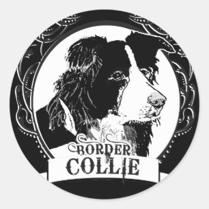 Adesivo Redondo T-shirt de border collie
