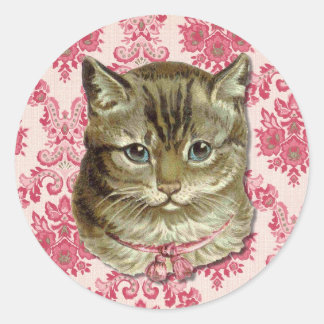 Adesivo Redondo Tabby cat