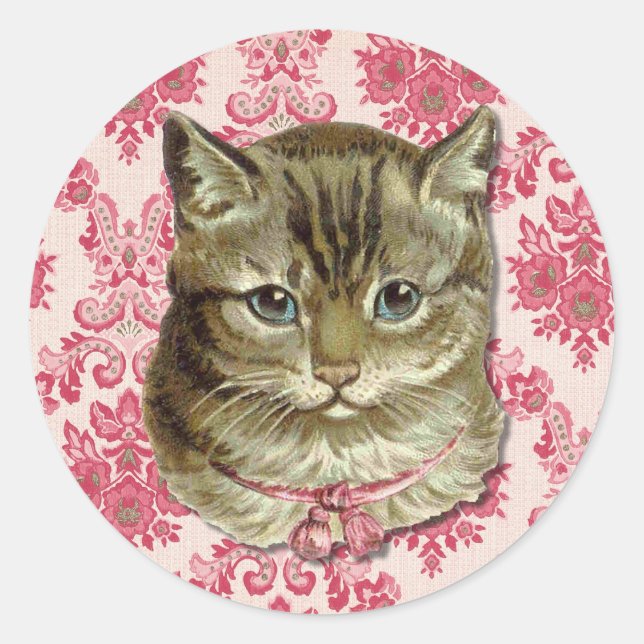 Adesivo Redondo Tabby cat (Frente)