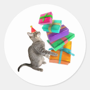 Adesivo Redondo Tabby Cat Birthday Presente Pile Round Sticker