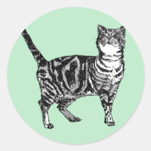 Adesivo Redondo Tabby Cat Stickers Mint Cute cats Pets Sticker Set