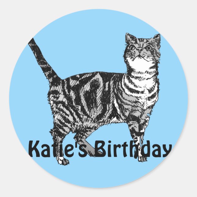 Adesivo Redondo Tabby Cat Whimsical Blue Girls Birthday Sticker (Frente)