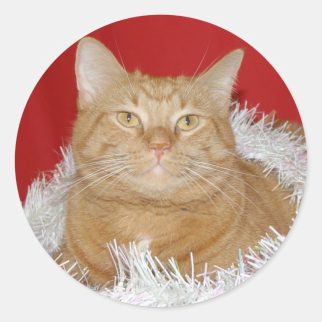 Adesivo Redondo Tabuleiro laranja Natal (Frente)