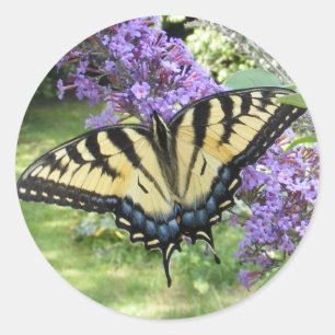 Adesivo Redondo Tampão de velocidade 94 ~