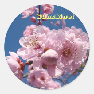 Adesivo Redondo Tampas cor-de-rosa Primavera Flor Brilhantes