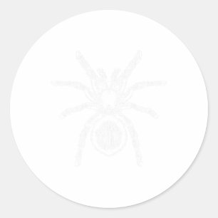 Adesivo Redondo Tarantula Huge Spider Phobia Halloween Costume Ara
