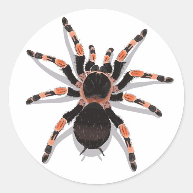 Adesivo Redondo Tarantula Sticker (Frente)