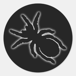 Adesivo Redondo Tarantula Sticker