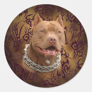 Adesivo Redondo Tatuagem tribal de Pitbull Brown