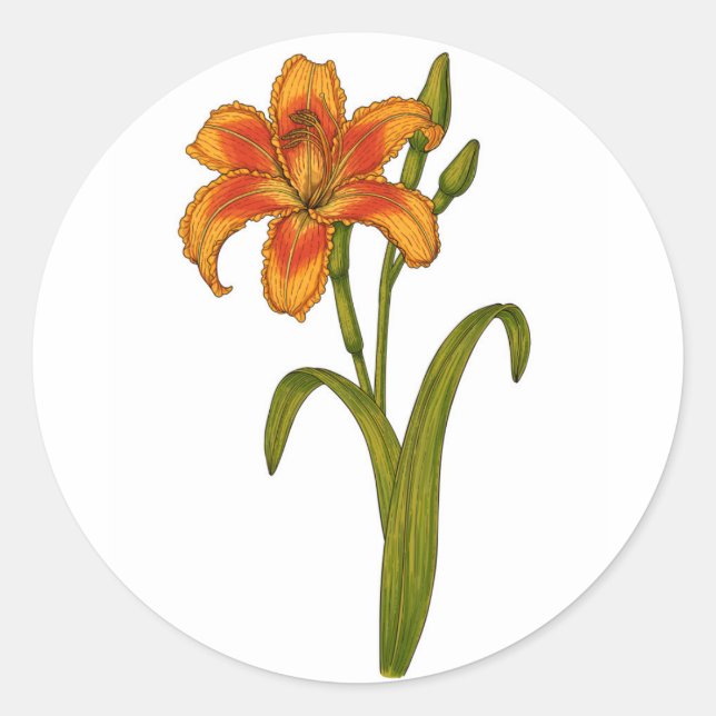 Adesivo Redondo Tawny Daylily (Frente)