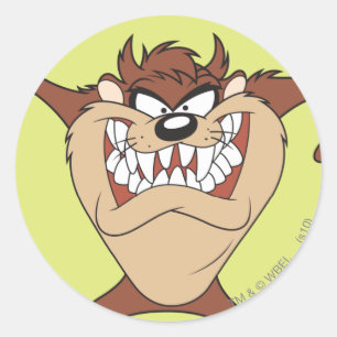 Adesivo Redondo TAZ™ posicionando 15