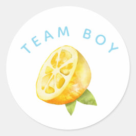 Adesivo Redondo Team Boy Gender Revement Party Lemon