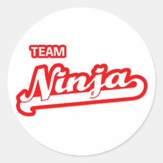 Adesivo Redondo Team Ninja
