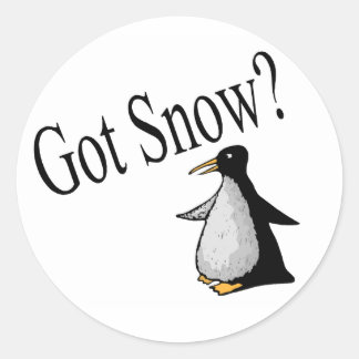 Adesivo Redondo Tem neve? (Pinguim)