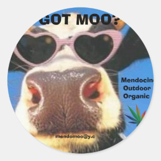 ADESIVO REDONDO TEM POTE MÃE VESTICADOR