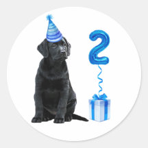 Tema Da Cãozinha segundo aniversário - Cachorro Az