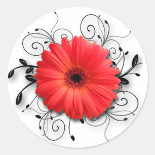 Adesivo Redondo Tema da margarida do Gerbera