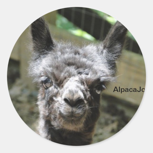 Adesivo Redondo Tempestade (Frente)