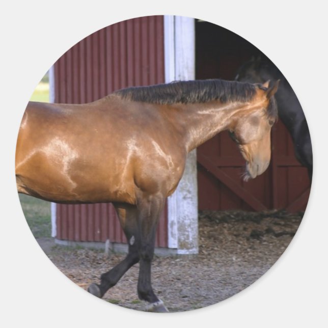 Adesivo Redondo Tempo de alimentação (Frente)